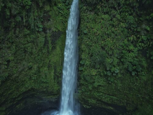 Trekking al Salto Las Cascadas — Puerto Octay, Región de Los Lagos